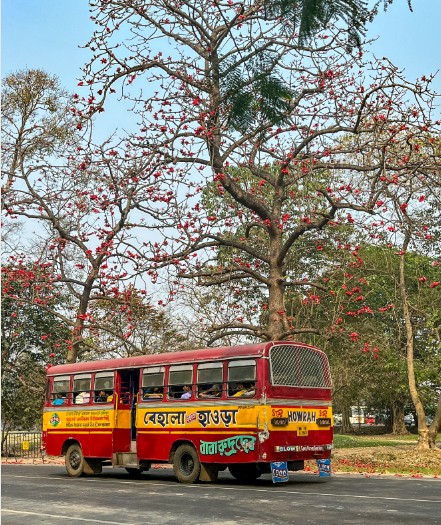 রুদ্রতেজে রঙিন গ্রীষ্ম